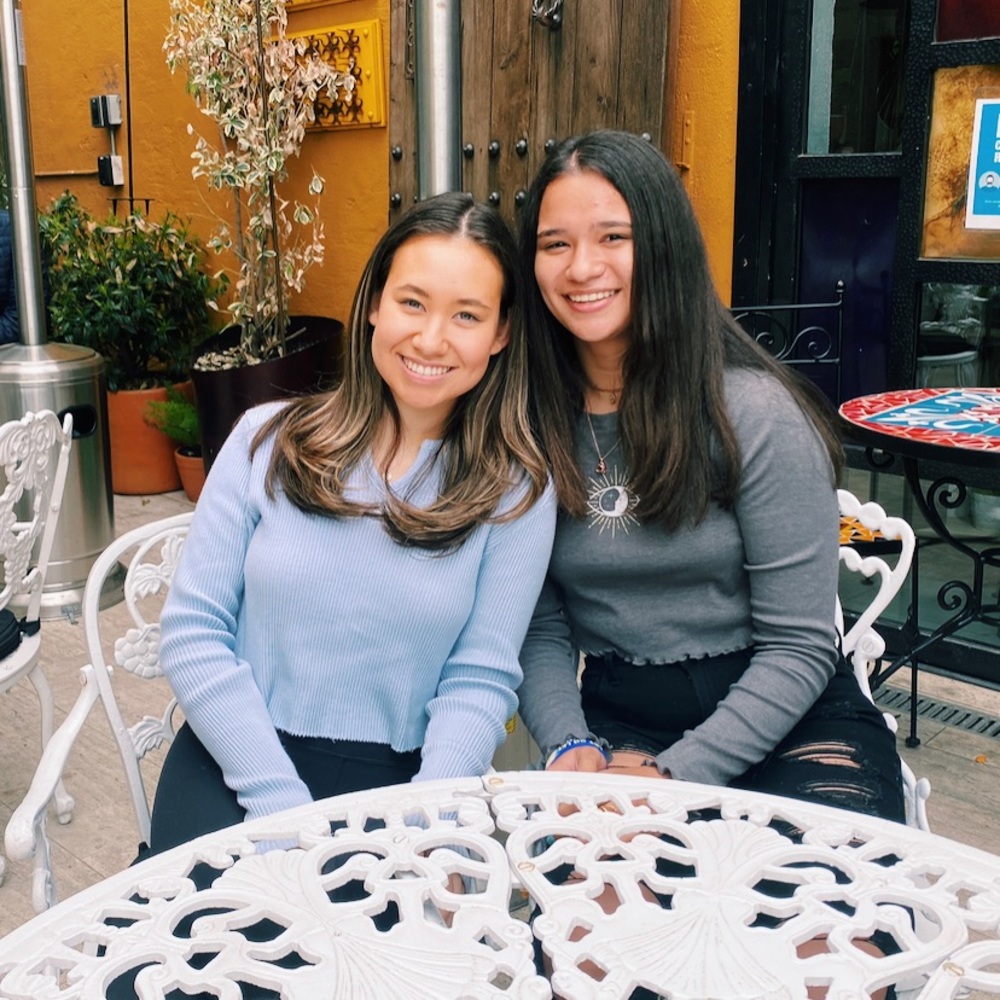 Brandy Melville Sweater